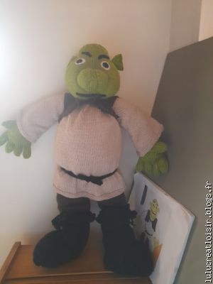 Tuto PDF Shrek HT:70mcmTricot,fait d'à partir d'une PHOTO....5